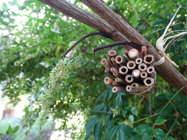 Abri composé de petit rondins de bois suspendus à une branche d'arbre.