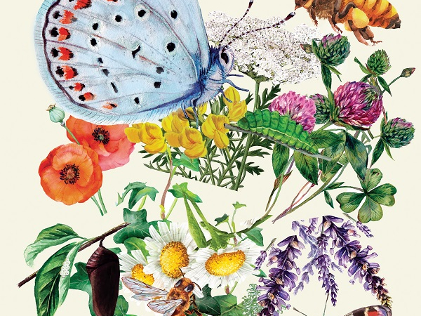 Affiche Jardins d'été 2023 : plantes, papillons, abeilles