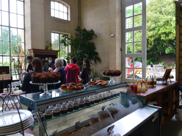 Vue du salon de thé de l'orangerie 