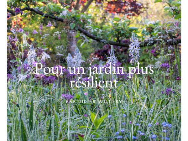 Pour un jardin plus résilient - visuel 