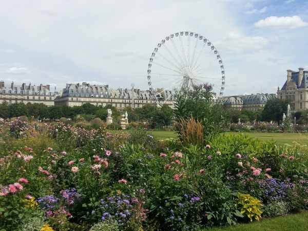 Jardin des Tuileries de Paris