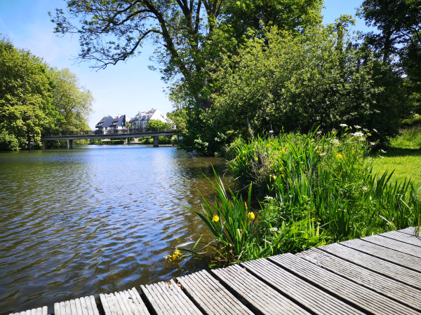 Vue de l'Orne depuis un ponton, arbre et verdure 