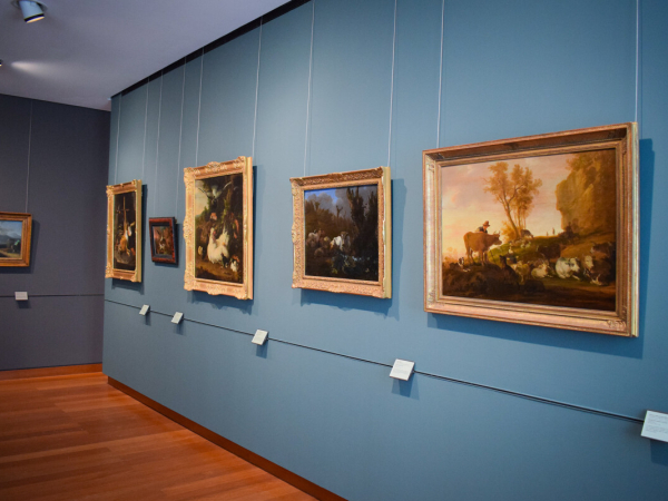 Musée des Beaux-Arts de Caen