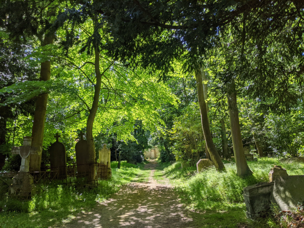 Cimetières dormants