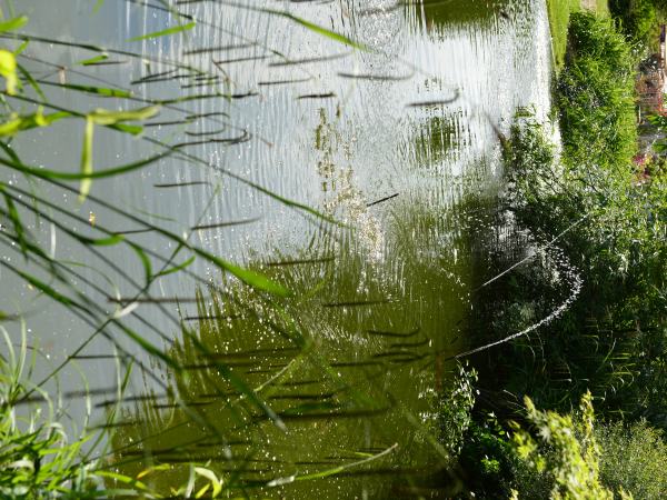 545749-La_colline_aux_oiseaux___Ville_de_Caen