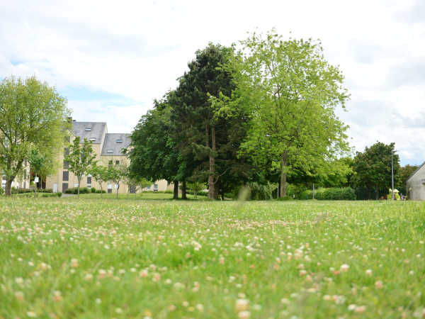 546566-La_Folie-Couvrechef-Francois_DECAENS___Ville_de_Caen