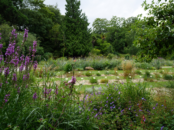567634-Jardin_des_plantes-Francois_DECAENS___Ville_de_Caen