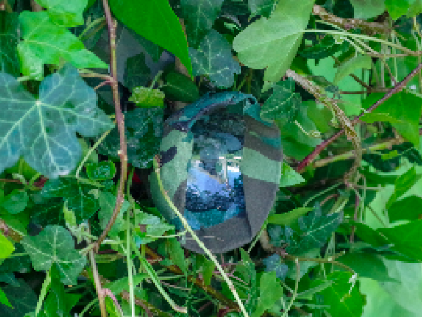 Caméra biodiversité