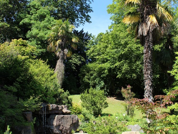 Jardin_des_plantes__Calvados_Attractivite-2863