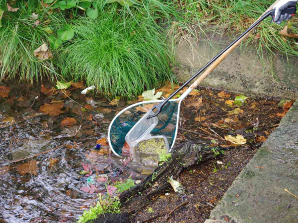 à la pêche aux plastiques