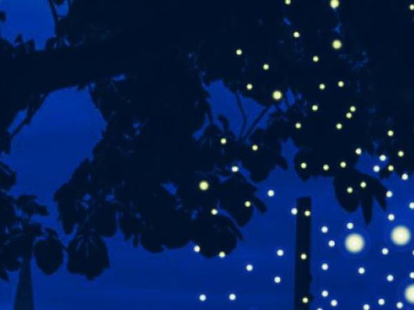 encart nuit essentielle 143x190_rvb