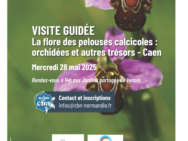 programme-sorties-botaniques-normandie-2025_page_04