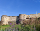 Château de Caen