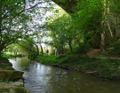 283006-Balade_en_velo__chemin_de_l_Odon-Jean-Christophe_LORI