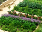 Conférences de l'Institut Européen des Jardins & Paysages