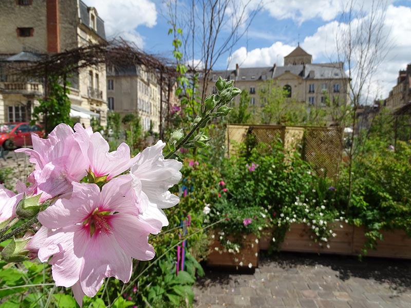 Jardin d’été - 75e anniversaire du Débarquement