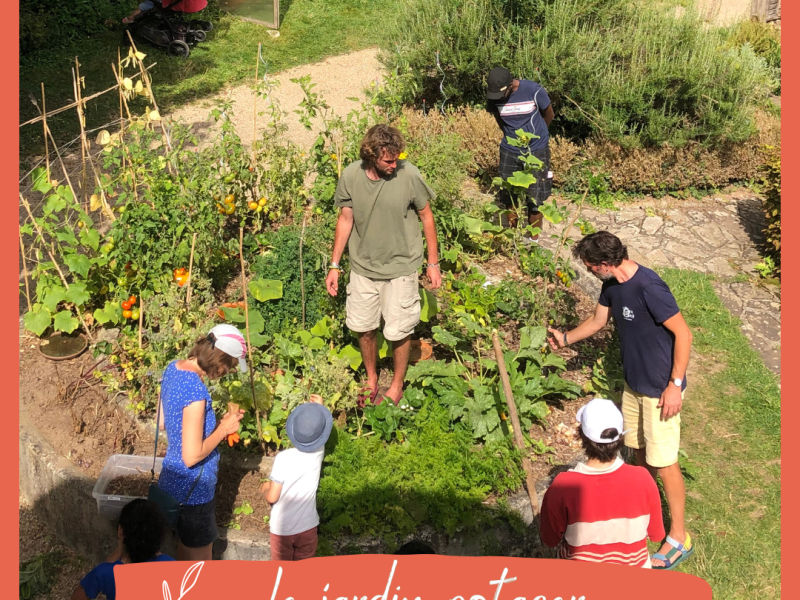 Le jardin potager du Musée