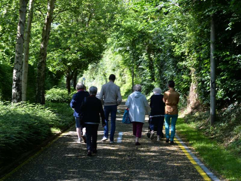 494501-Journees_de_prevention_mobilite-Francois_DECAENS___Vi