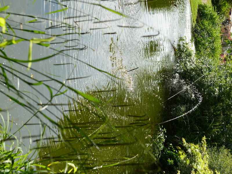 545749-La_colline_aux_oiseaux___Ville_de_Caen