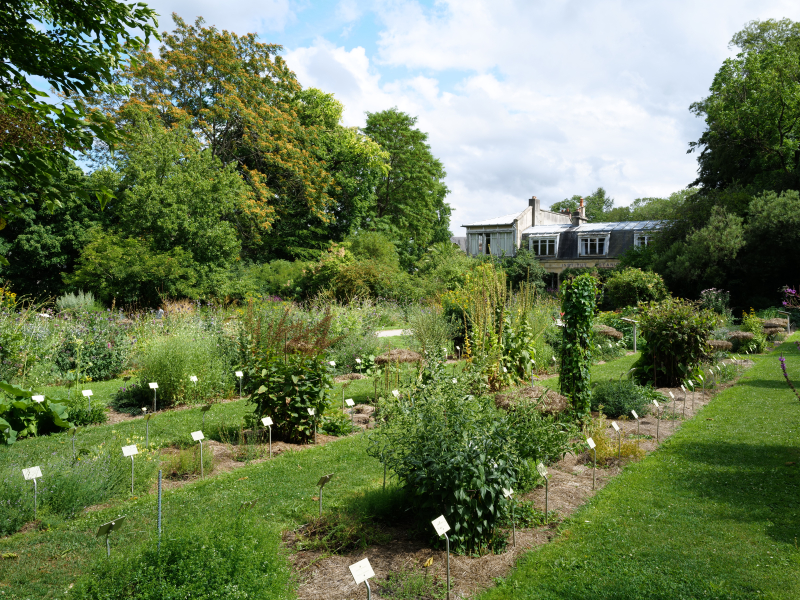 567627-Jardin_des_plantes-Francois_DECAENS___Ville_de_Caen