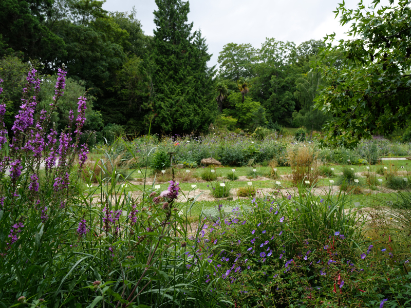 567634-Jardin_des_plantes-Francois_DECAENS___Ville_de_Caen