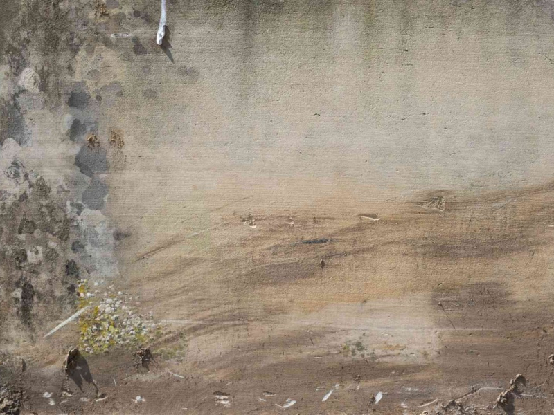Axelle Rioult, Sans titre, 2023-2024, tirage pigmentaire Col