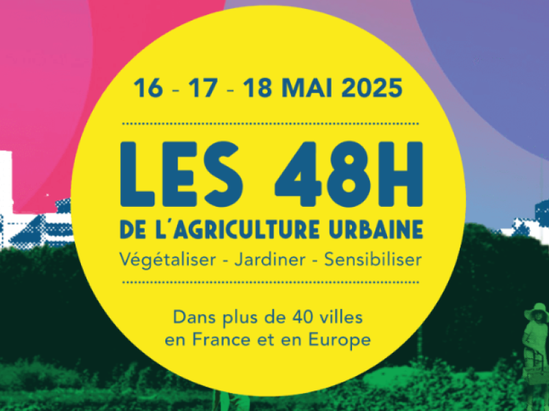 Capture d'écran 2025-03-31 111232