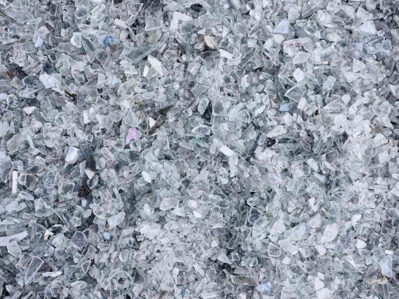 Céleste Boursier-Mougenot, plage (détail), 2019.