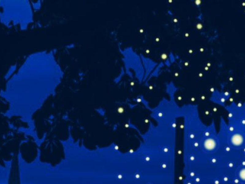 encart nuit essentielle 143x190_rvb