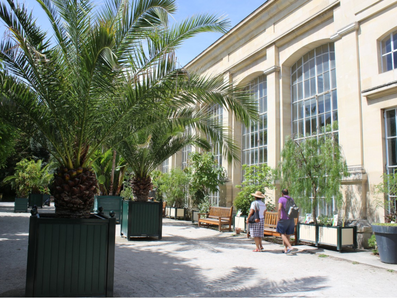 jardin-des-plantes-l-orangerie