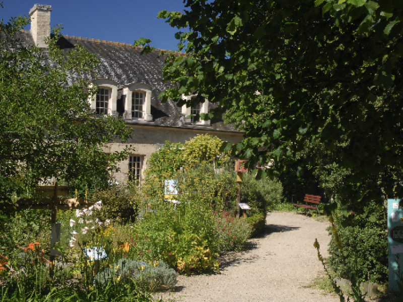 jardin