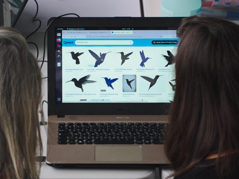 Comptage des oiseaux