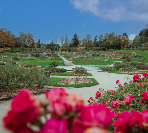 Fontaine de la Colline aux Oiseaux © Ville de Caen / M. Bouvier