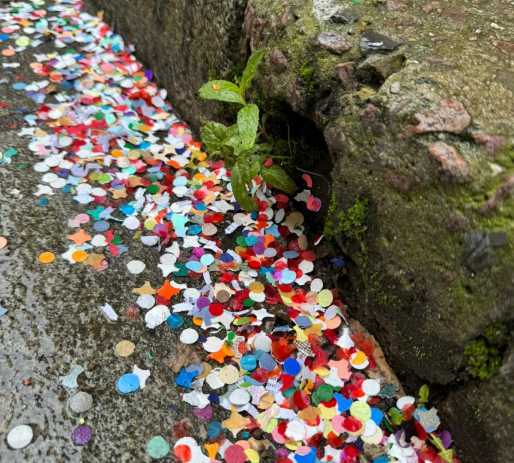 Confettis sur un trottoir de Caen