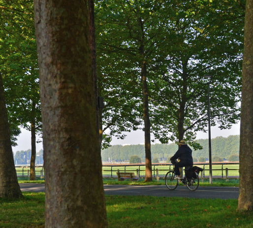 Vélo sur le cours Koenig durant l'automne