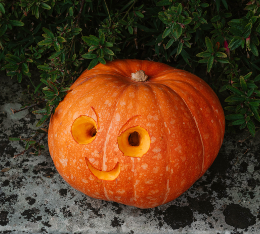 Citrouille décorée pour Halloween au Jardin des plantes