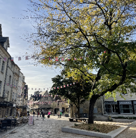 Le quartier du Vaugueux