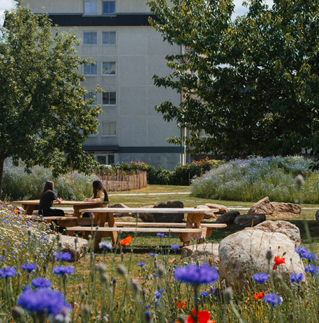 Vue estivale du Parc Croix Guérin © Ville de Caen / M. Bouvier