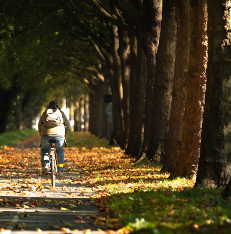 Cycliste de dos sur le cours Montalivet