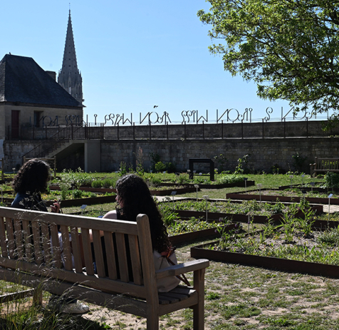 Jardin des simples au Château © Ville de Caen / J. Urvoy