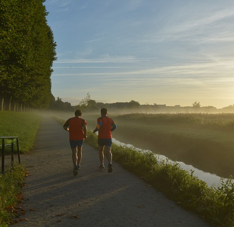 Footing sur la prairie
