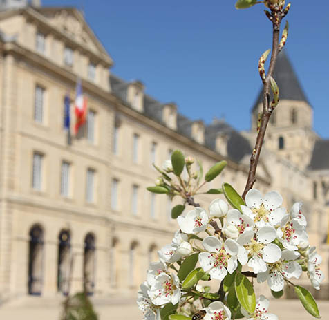 fleurs devant l'hôtel de ville