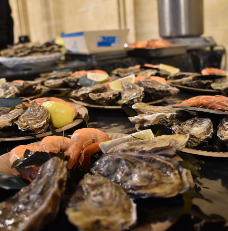 Huitres et crevettes, gros plan 