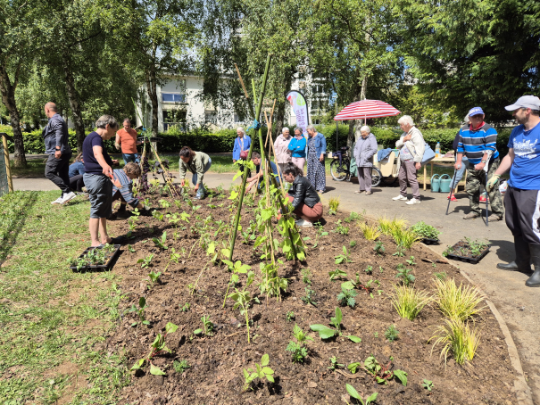 14 jardins éphémères transforment les quartiers de Caen