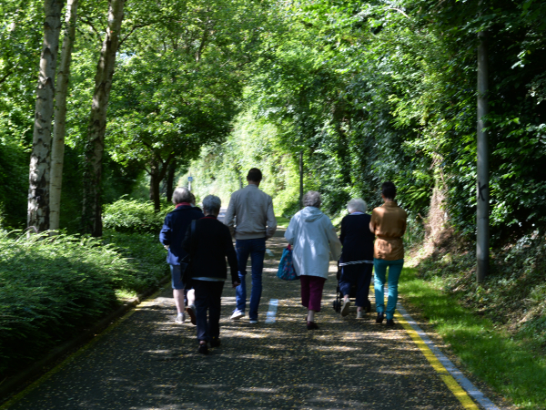 494501-Journees_de_prevention_mobilite-Francois_DECAENS___Vi