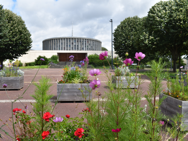 533290-Jardins_du_monde_-_Quartier_Grace-de-Dieu-Julie_URVOY