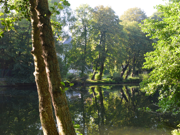 536298-Cours_Koenig-Francois_DECAENS___Ville_de_Caen