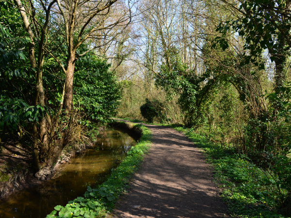 543844-Sentier_sous_le_chemin_des_Costils_Lambalard-___Ville