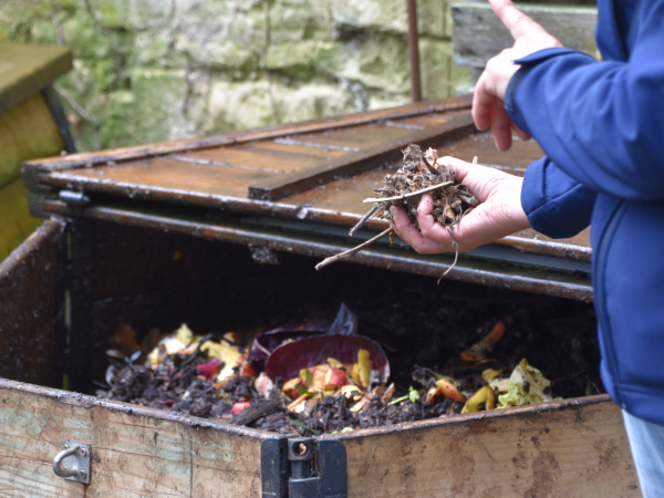 572416-Atelier_compostage_-_tri_des_dechets_alimentaires-Jul