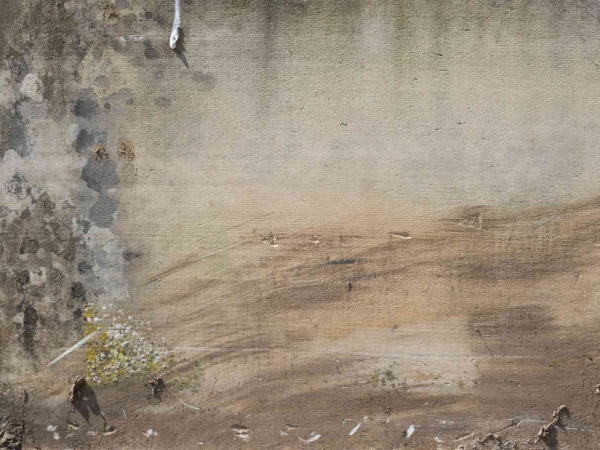 Axelle Rioult, Sans titre, 2023-2024, tirage pigmentaire Col